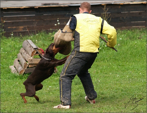 Training in Prague 10/2007